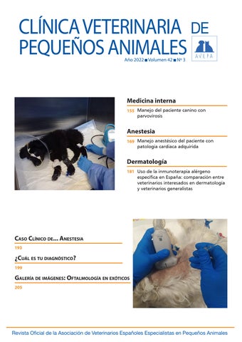 Hospital Veterinario 172
