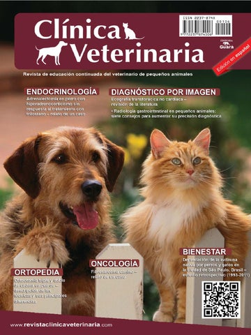 Clínica Veterinaria Del Este