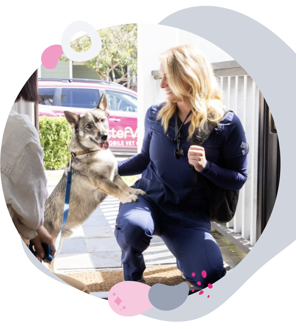 Clinica Veterinaria Forest Hills