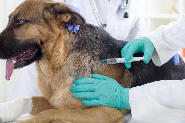 Clínica Veterinaria Las Cumbres