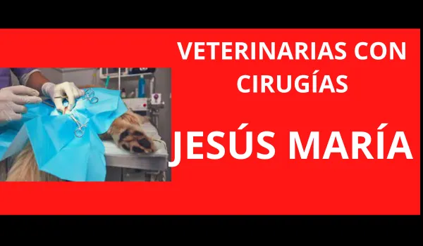 Clínica Veterinaria San Martín De Porres