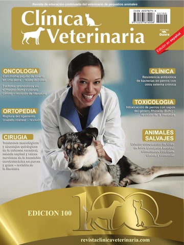 Clínica Veterinaria Y Acupuntura Animal