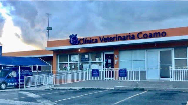Clínica Veterinaria Coamo