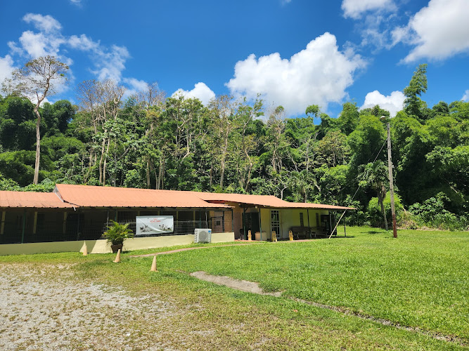 Humacao Animal Hospital