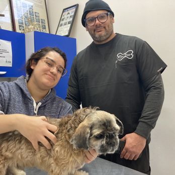 Medical Zoo Animal Hospital
