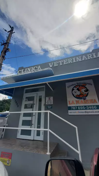 Veterinarios En Aguadilla