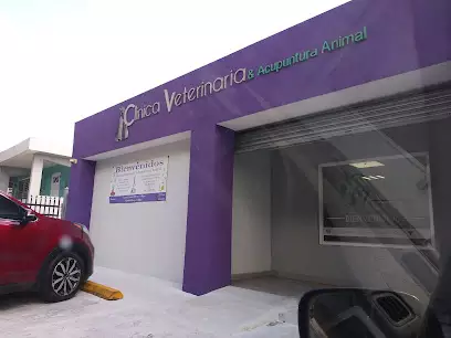 Veterinarios En Gurabo