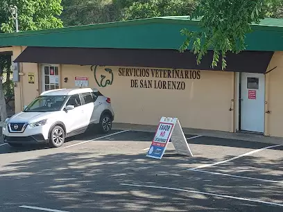 Veterinarios En San Lorenzo